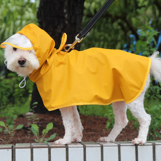 Dog wearing a yellow waterproof raincoat with a transparent brim and bellyband