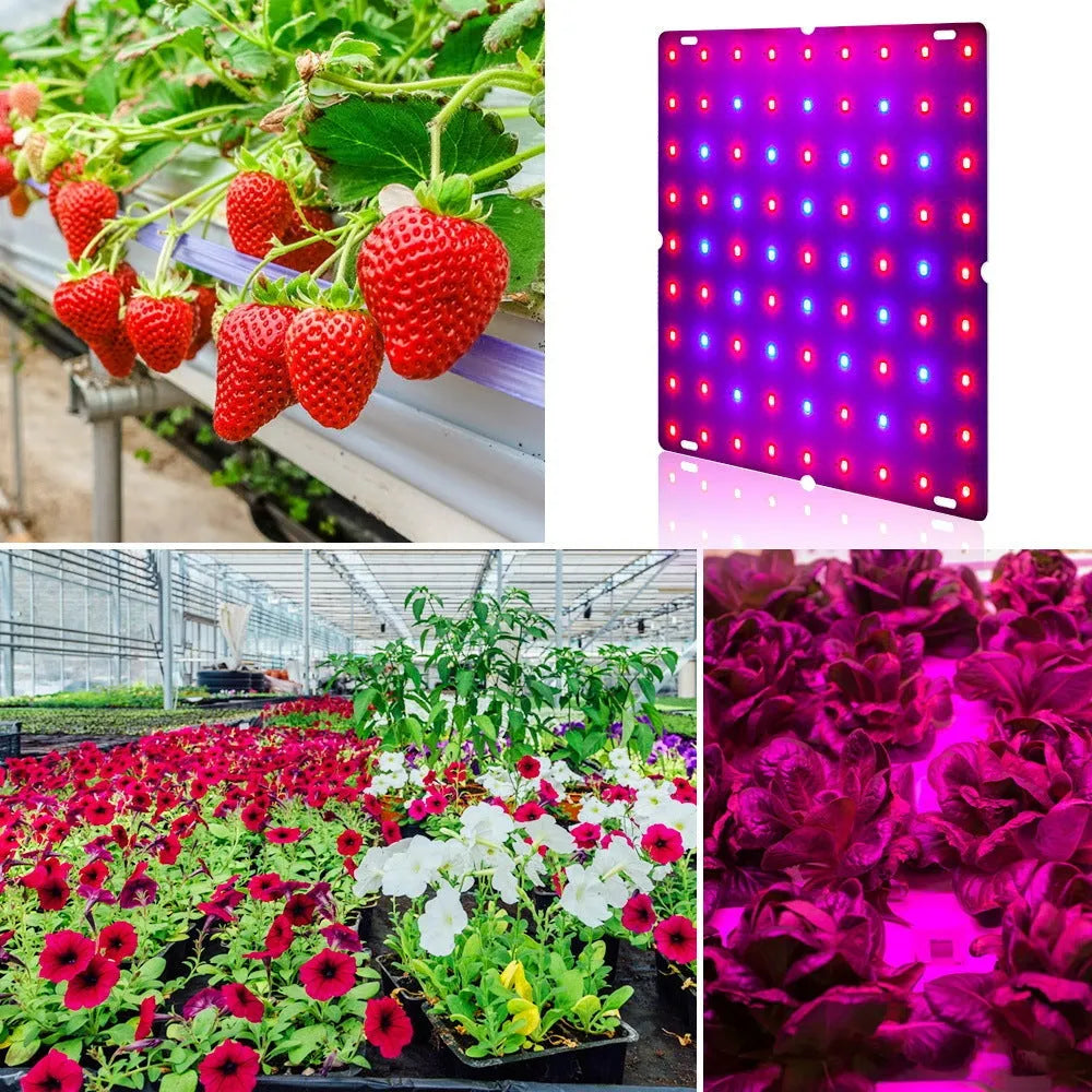 Aluminium LED plant grow light with hook for indoor fruits and vegetables, showing UK plug.
