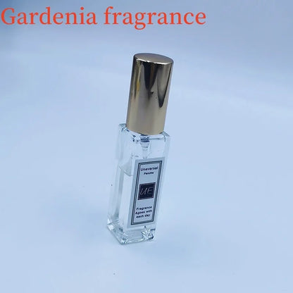 Car aromatherapy fragrant stone pendant with essential oil bottle on gift box