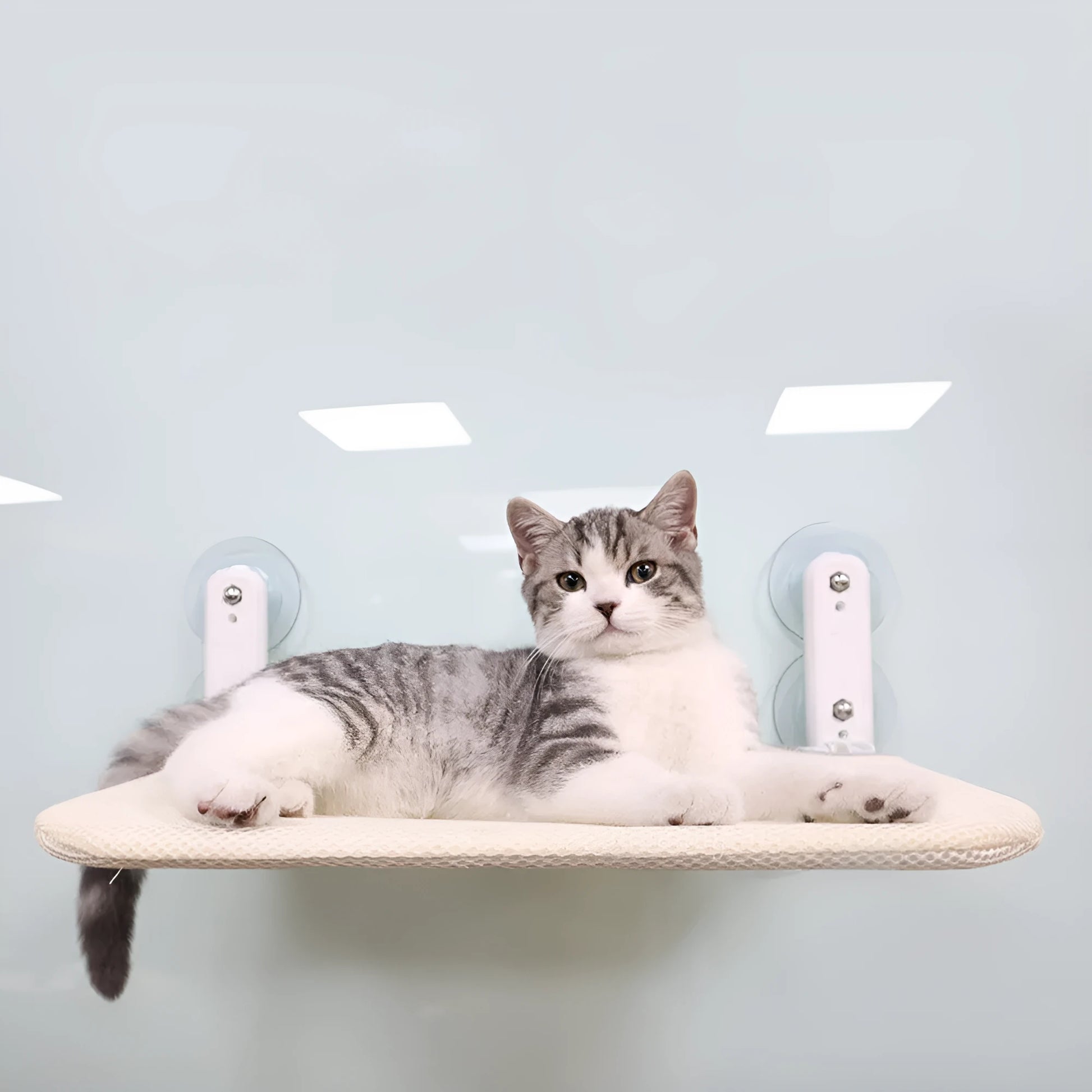 Foldable stainless steel cat hammock seat cushion for windows in beige mesh, grey mesh, or grey plush.