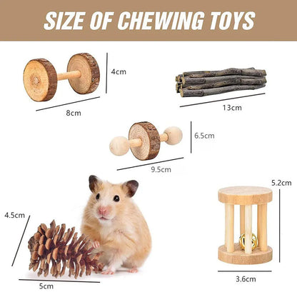 Assorted natural wooden chew toys for small pets including balls, rings, and mats on a plain background.