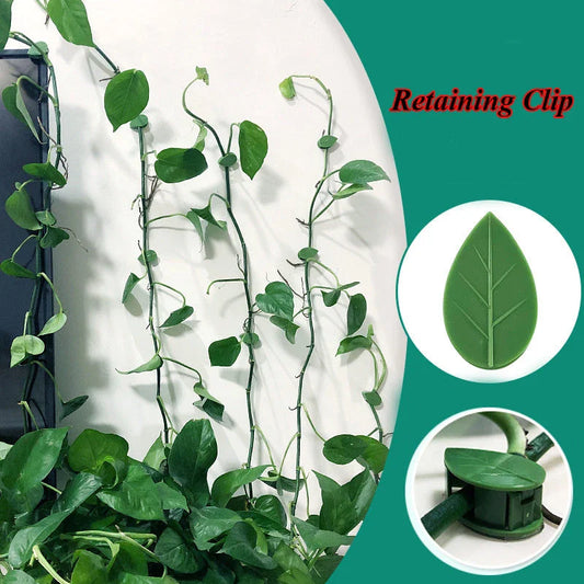 Decorative plant wall clips made of eco-friendly ABS resin in a leaf shape, providing an easy solution for supporting climbing indoor and outdoor plants