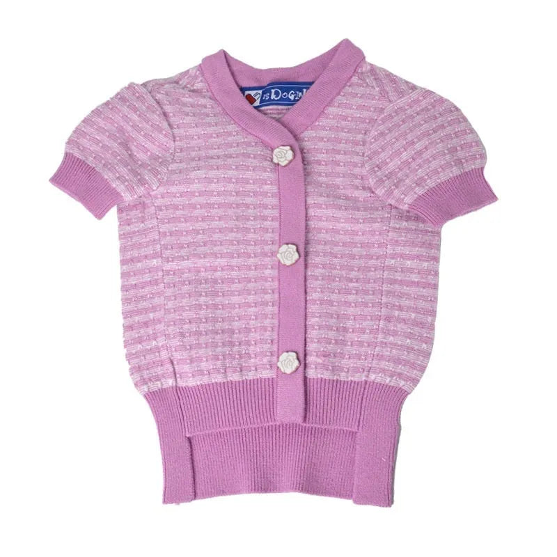 Miniature schnauzer wearing classic-style wool blend winter coat with ribbed knit trim