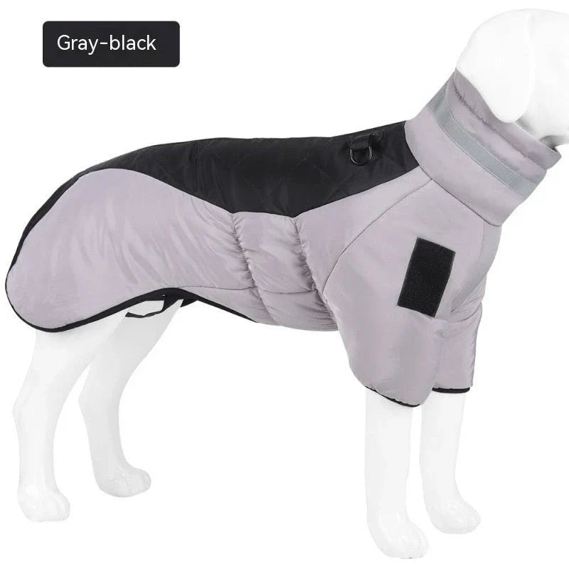 Waterproof winter dog coat in various colors and sizes for medium to large dogs
