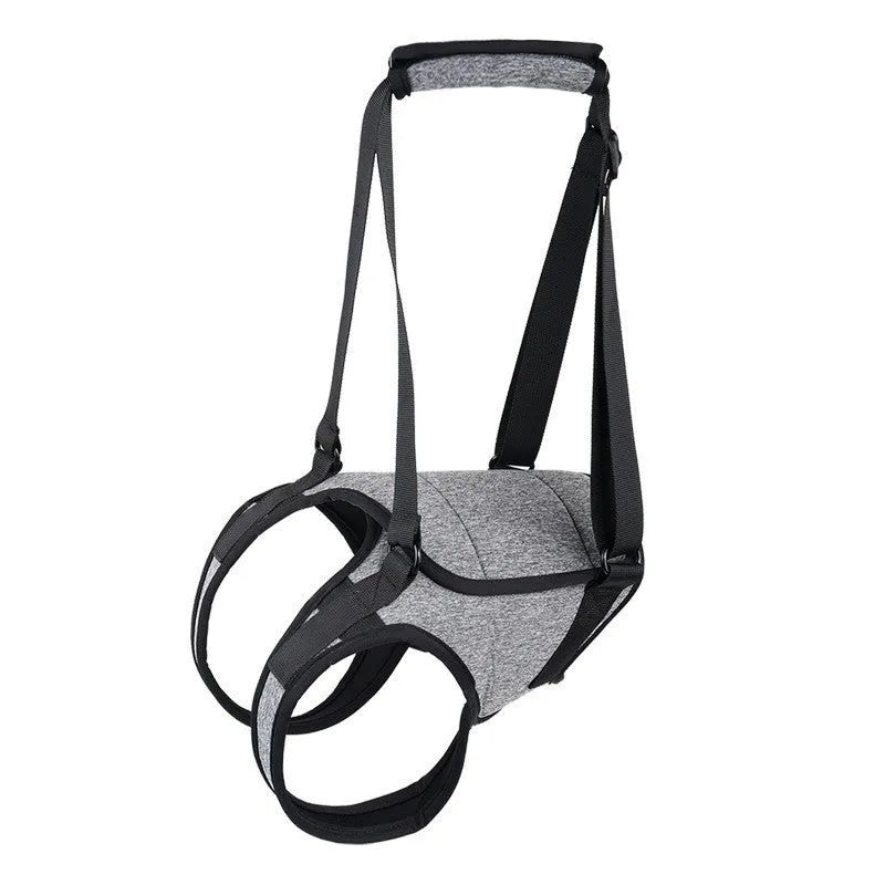 Grey neoprene recovery support belt for a dog's rear legs, showing adjustable waist and thigh straps.