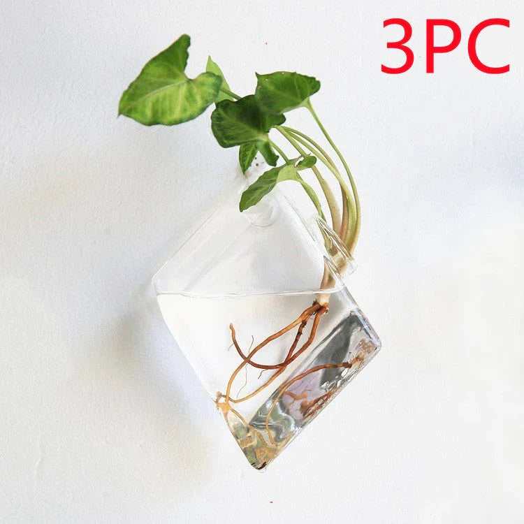 Wall-mounted glass flower vase and terrarium with various design options for customization and decoration