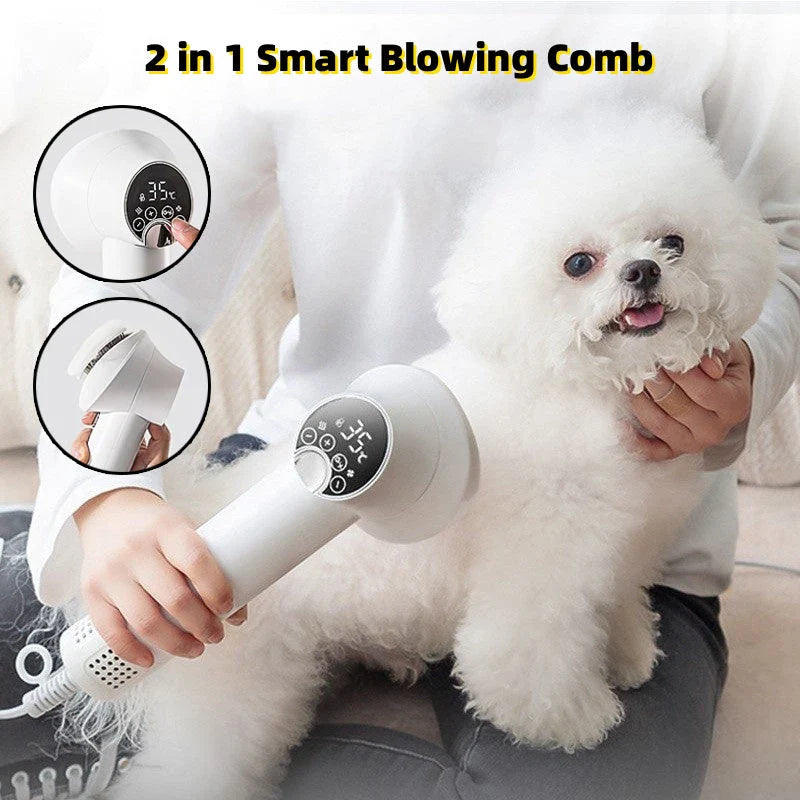 Premium Pet Hair Dryer with powerful 300W motor, whisper-quiet operation, and dual-speed settings for gentle, stress-free grooming of dogs, cats, and other pets.