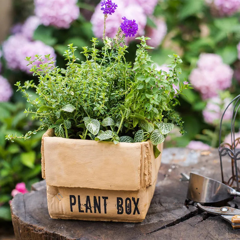 Cement Brown Paper Box Flowerpot for Indoor Planting: 4 Nordic-Style Colour Variations with Pre-Drilled Drainage Hole to Prevent Root Rot