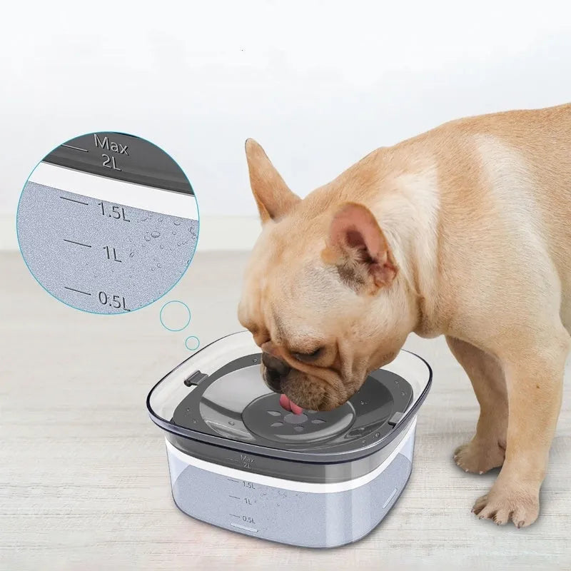 Transparent 70oz dog water bowl with floating disk, showing water level indicator and non-slip base
