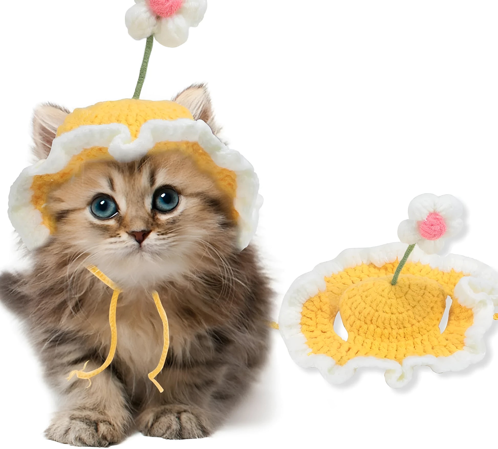 Green knitted cat hat with cartoon face on a kitten, showing S/M sizing for small pets.