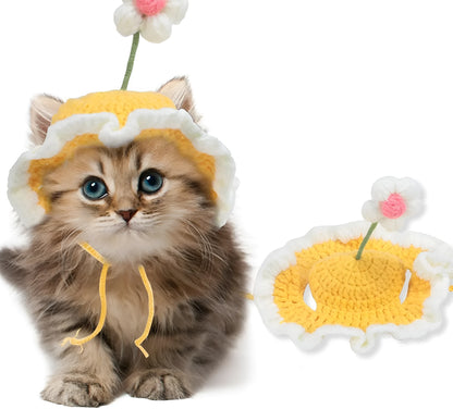 Green knitted cat hat with cartoon face on a kitten, showing S/M sizing for small pets.