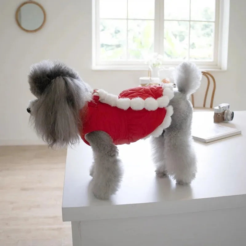 Red Chinese-style pet clothing with thick fur collar and traditional knot fastening for autumn and winter wear