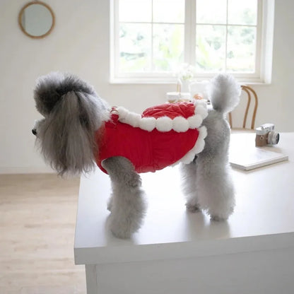 Red Chinese-style pet clothing with thick fur collar and traditional knot fastening for autumn and winter wear
