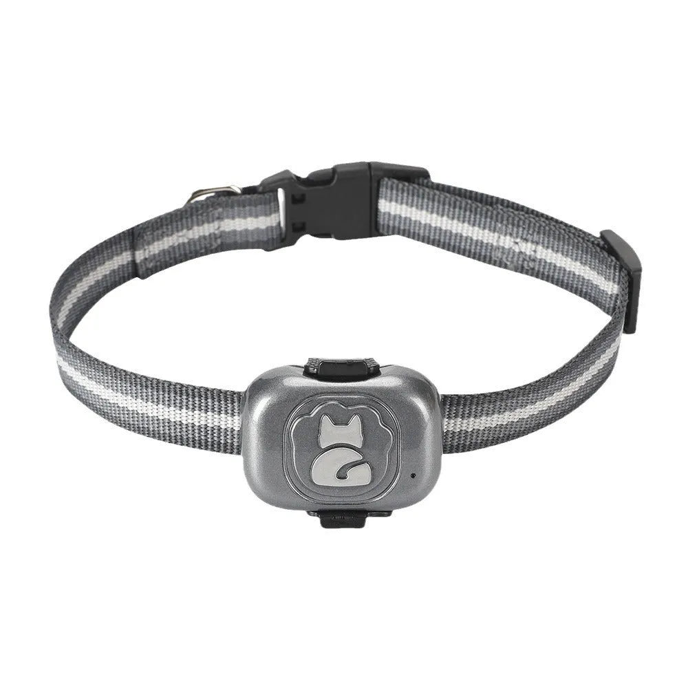 Black pet GPS tracker with hanging rope attachment and data cable