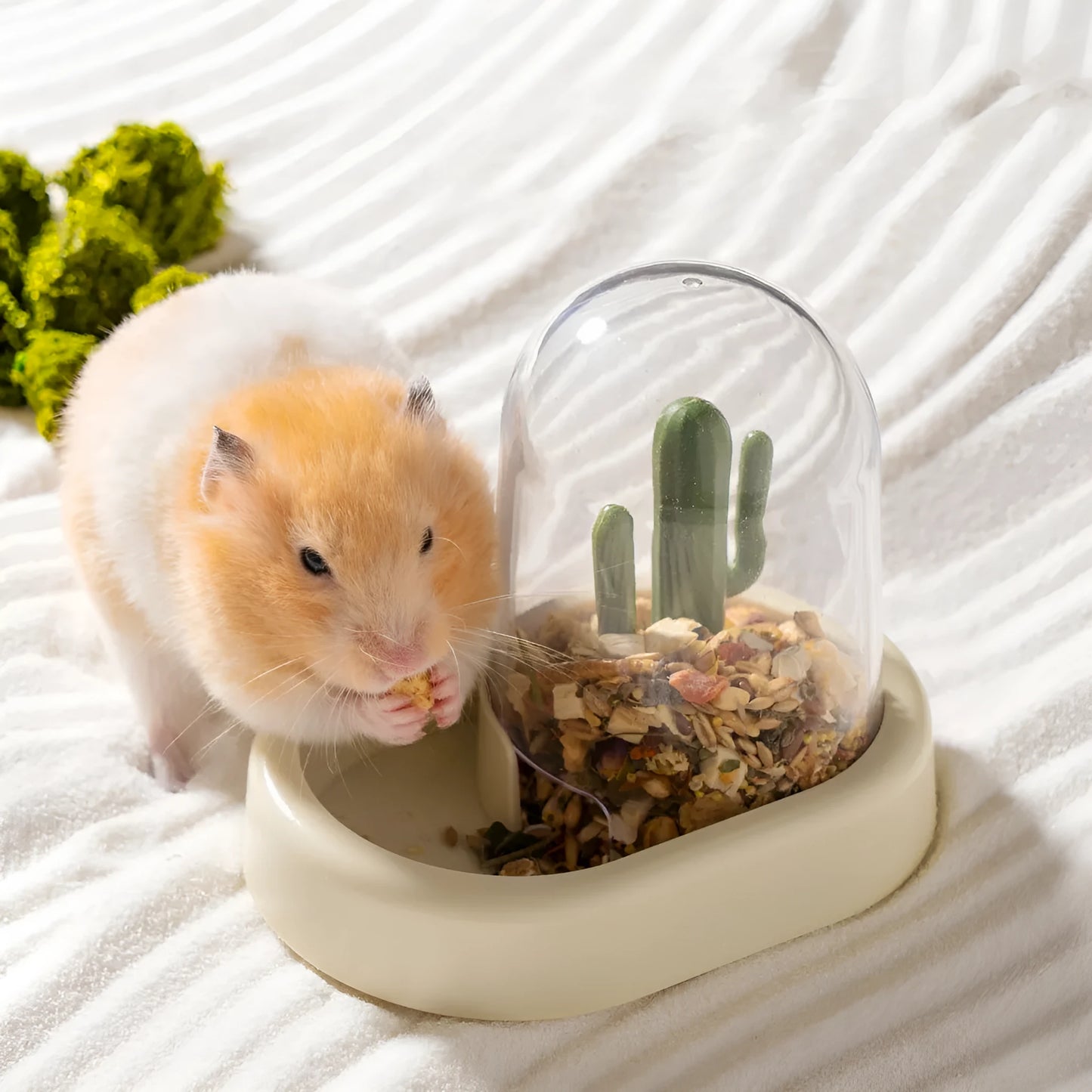 Cactus-shaped automatic hamster feeder with transparent food compartment in mint green colour