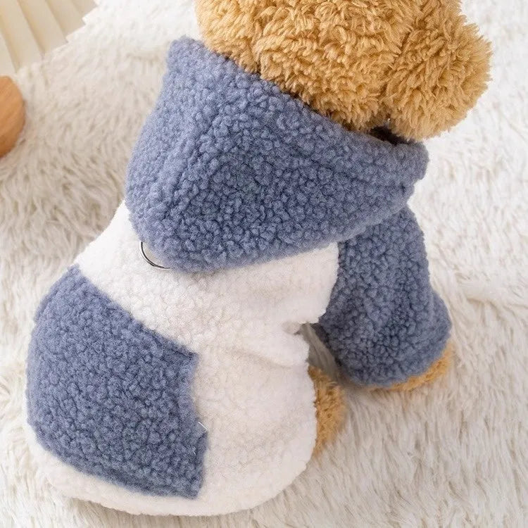Brown hooded cotton-padded dog coat on a small dog, showing the thickened material and attached hood.