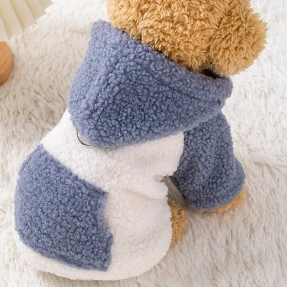 Brown hooded cotton-padded dog coat on a small dog, showing the thickened material and attached hood.