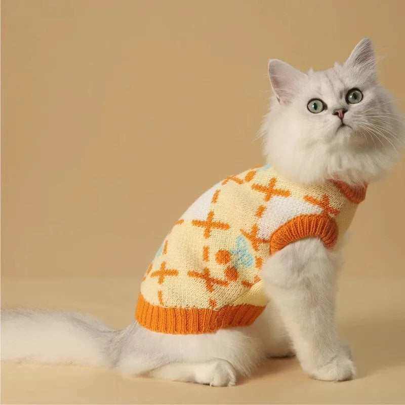Orange cherry diamond pattern cat sweater shown on feline model with size label