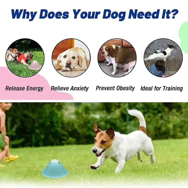 Four coloured interactive dog chew toys with treat slots on smooth surface