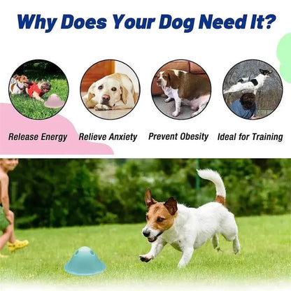 Four coloured interactive dog chew toys with treat slots on smooth surface