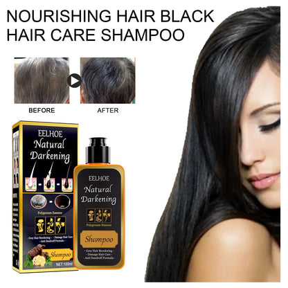 100ml boxed bottle of Polygonum Multiflorum shampoo for white to black hair colour restoration