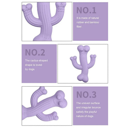Beige, blue or purple cactus-shaped dog chew toy made from bamboo fibre and rubber on a white background.