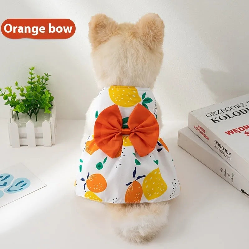 An orange floral butterfly knot princess dress for a small dog on a summer day.