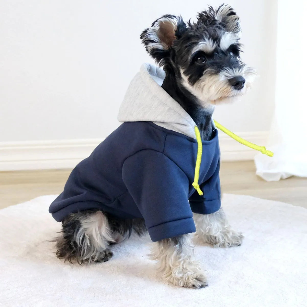 Simple dark red polyester dog hoodie with contrast colour detail, shown on a medium-sized dog.