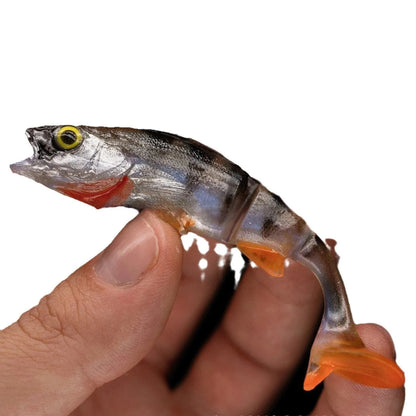 Two fish-shaped soft plastic fishing lures for catfish and sea fishing on a blue background.