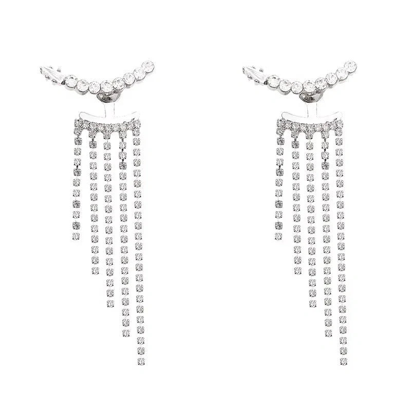 Elegant sterling silver long fringed zircon earrings for women
