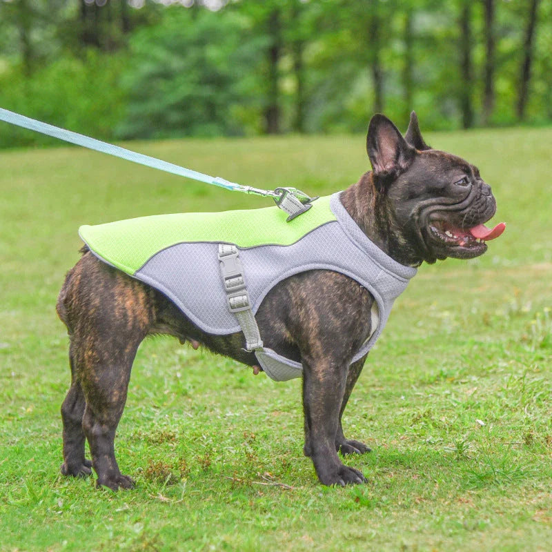 A breathable dog cooling vest with a layered design to reflect heat and facilitate evaporative cooling, available in various colors and sizes.