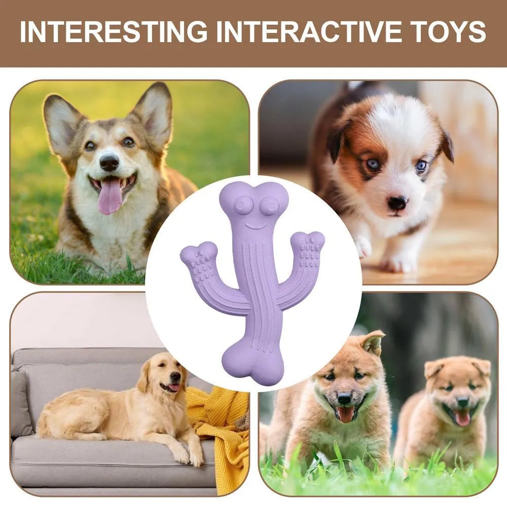 Beige, blue or purple cactus-shaped dog chew toy made from bamboo fibre and rubber on a white background.
