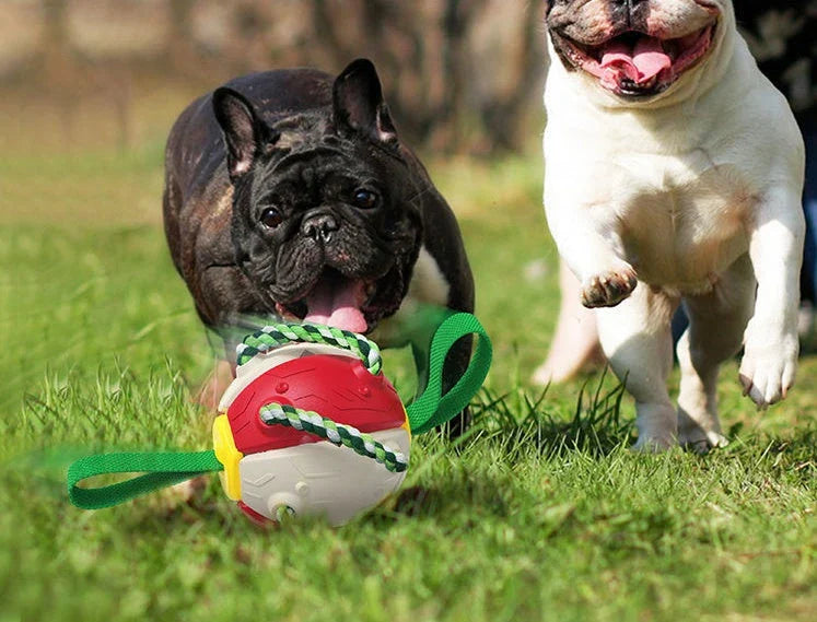 Versatile Frisbee-style dog toy with a unique shape-shifting design that transforms from a sphere to a flat Frisbee mid-flight, providing endless entertainment and exercise for your furry friend.
