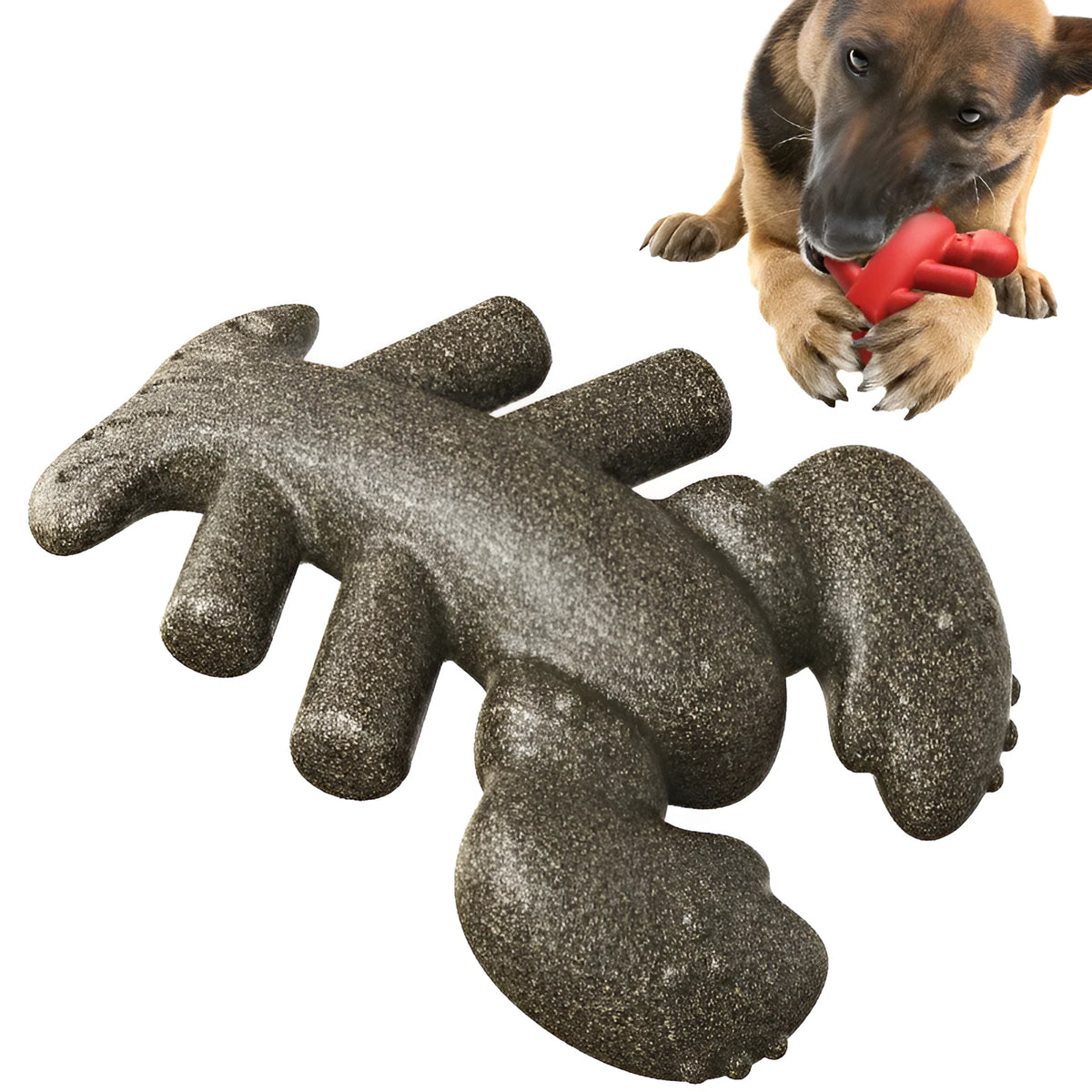 Pet food dropping ball dog molar lobster toy in wood colour or red plastic, single teeth grinding toy
