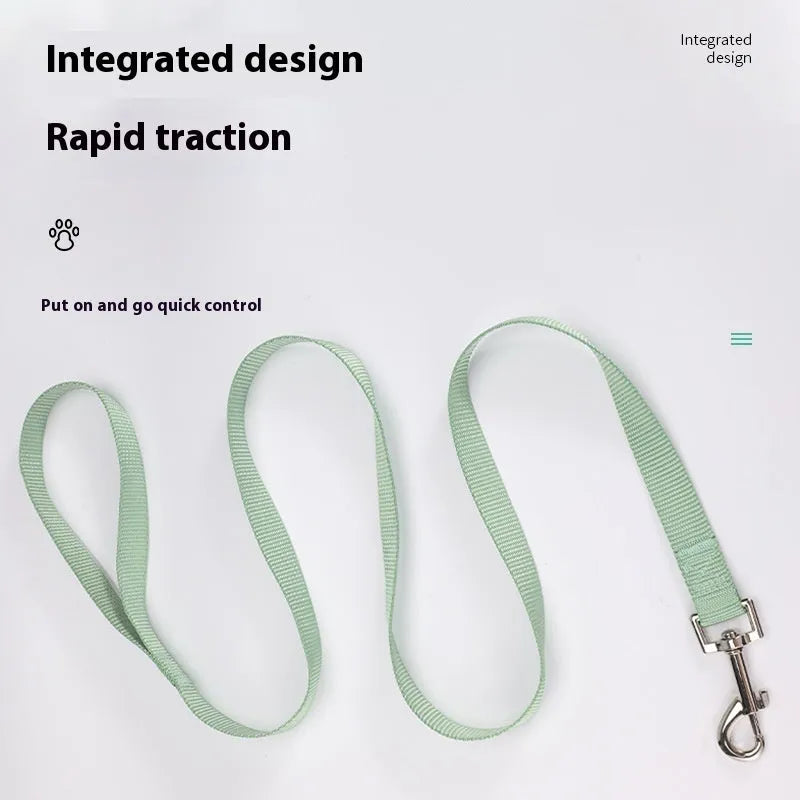 Solid colour polyester dog leash rope in hand, showing various width and colour options.