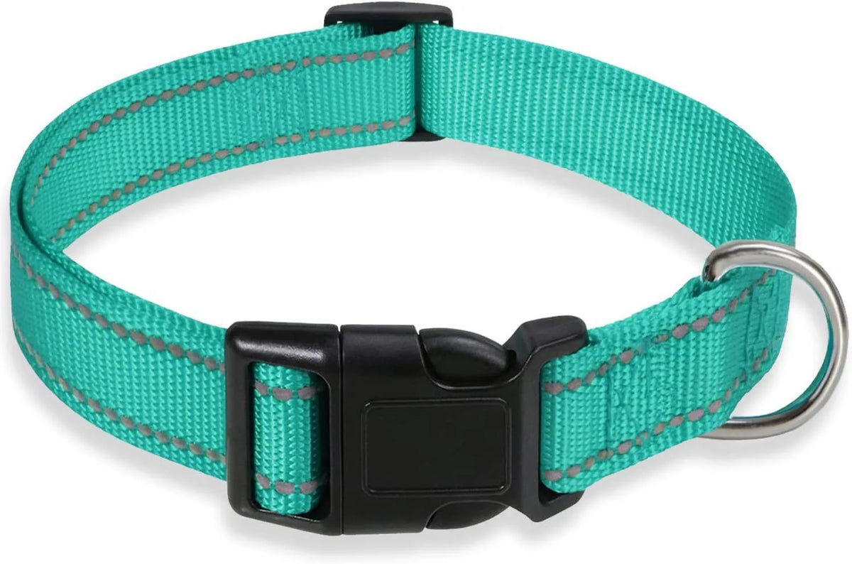 Nylon adjustable dog collar with chest strap in multiple colour options on a white background