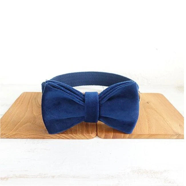 Dark blue velvet pet collar with optional bow tie and leash