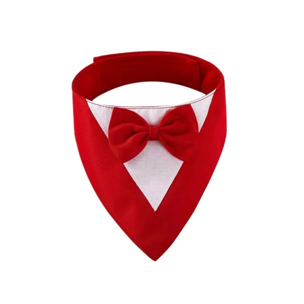 Triangular pet bib with bow detail in assorted colours, shown on a dog as a scarf and drool towel.
