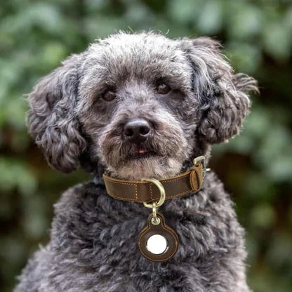 Brown retro-style cowhide dog collar with halter positioning system and lanyard detail