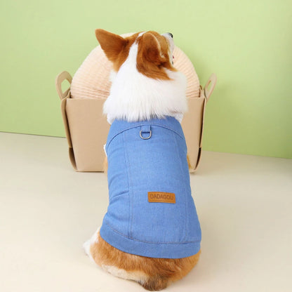 Corgi wearing dark blue denim-style cotton dog coat showing breed-specific sizing and cotton construction