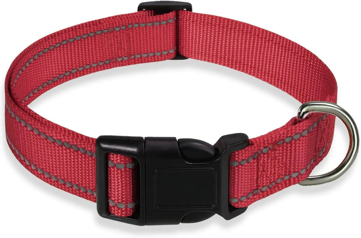 Nylon adjustable dog collar with chest strap in multiple colour options on a white background