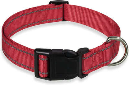 Nylon adjustable dog collar with chest strap in multiple colour options on a white background
