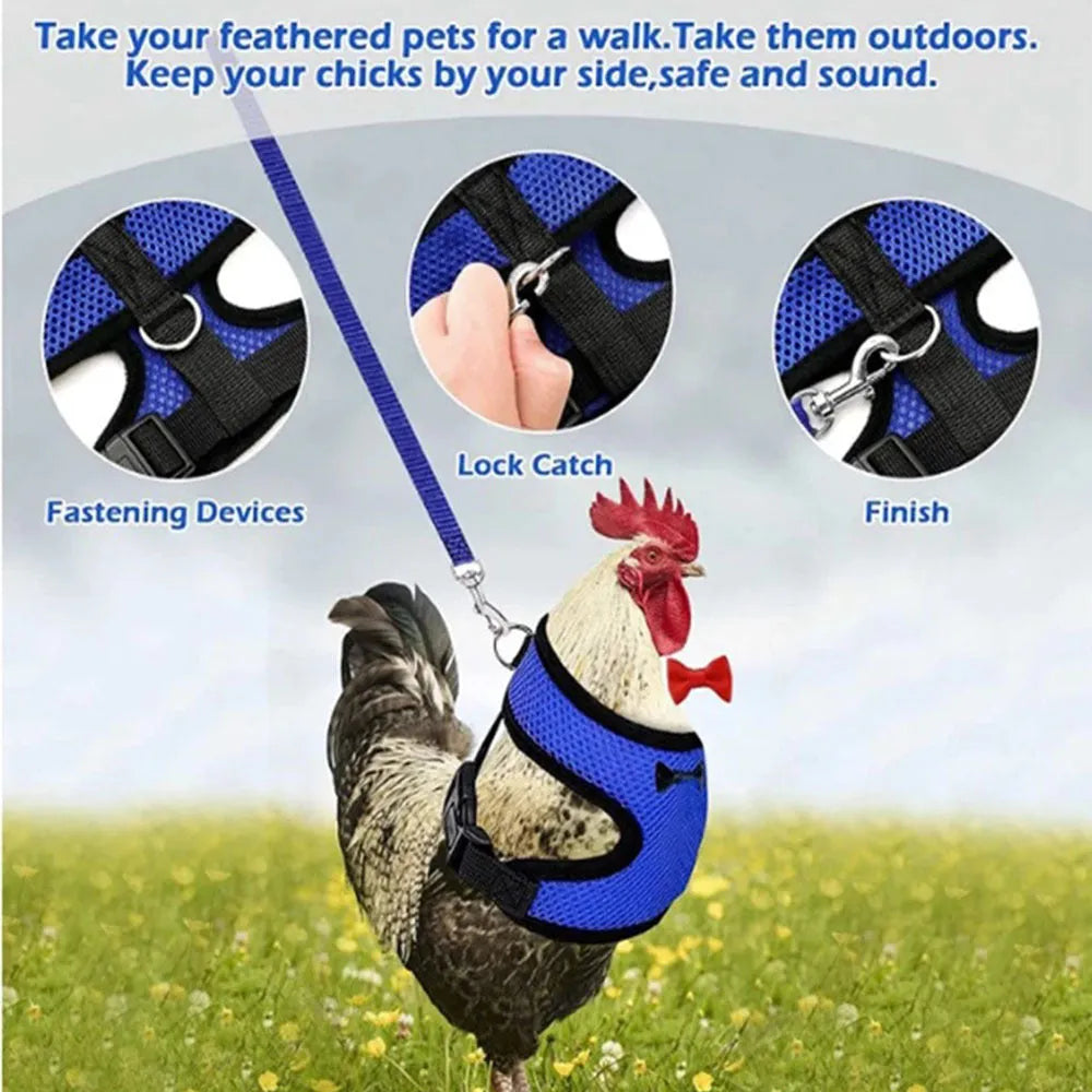 Poultry vest harness with matching collar and bow decoration for chickens and ducks