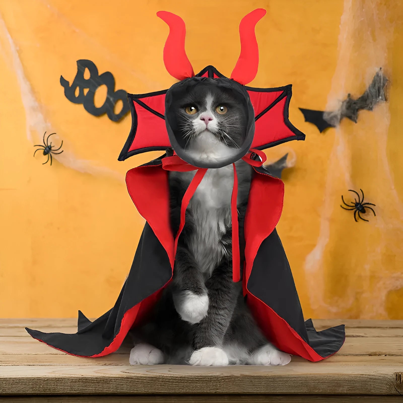 Black polyester vampire cloak and hat Halloween costume for a dog or cat