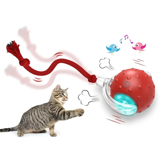 Interactive cat toy ball with automated features, rolling across various surfaces to engage and entertain your feline friend
