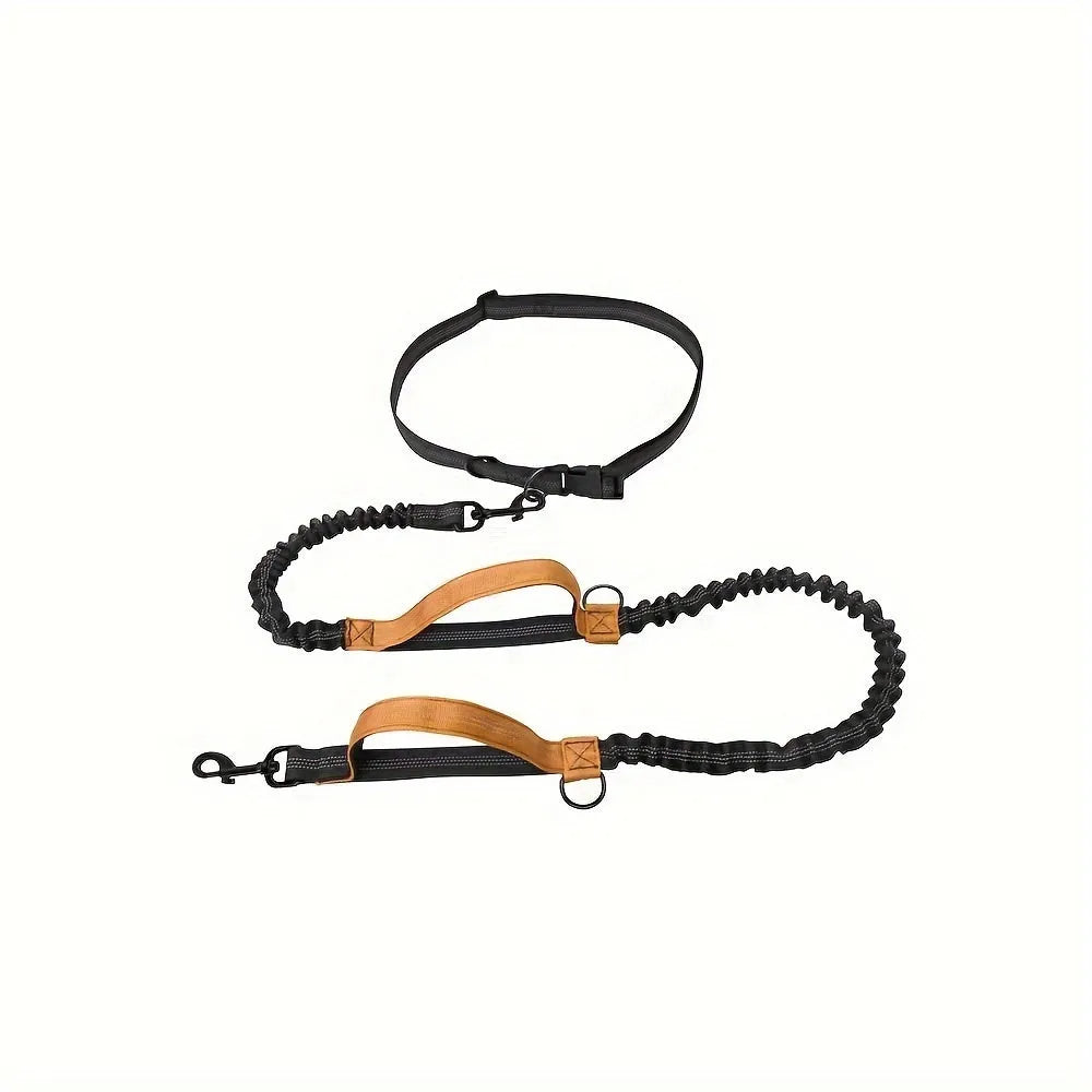 Nylon hands-free dog leash with adjustable waist belt shown in multiple colours