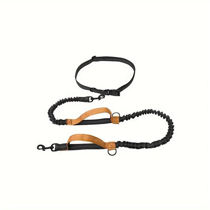 Nylon hands-free dog leash with adjustable waist belt shown in multiple colours