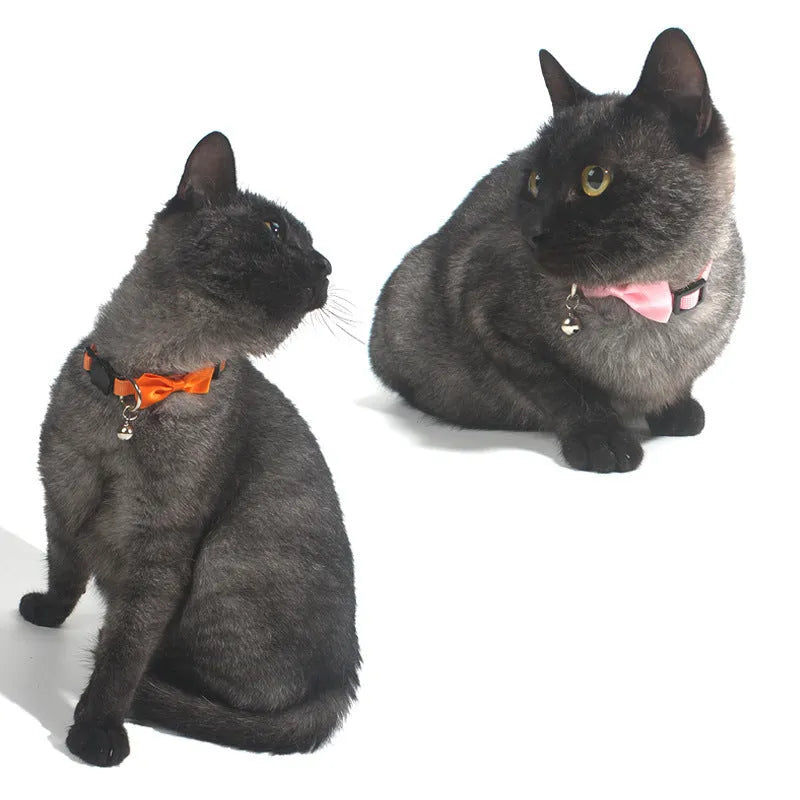 Adjustable nylon cat collar with bell decoration in striped pattern, multiple colour options available