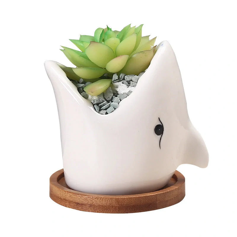 Creative cartoon ceramic succulent pot with drainage hole for healthy plant growth