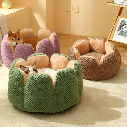 Green petal cactus-shaped plush cat bed with a cave-like opening on a wooden floor